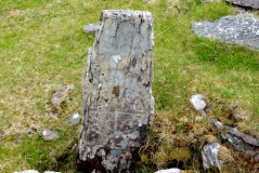 Kildreelig