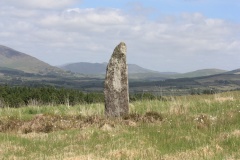 dromlusk