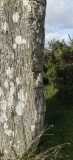 Dromatouk stones
