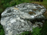 Feaghna - PID:110645