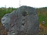 Dromagorteen - PID:110642