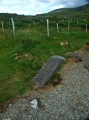 Dromagorteen - PID:110641