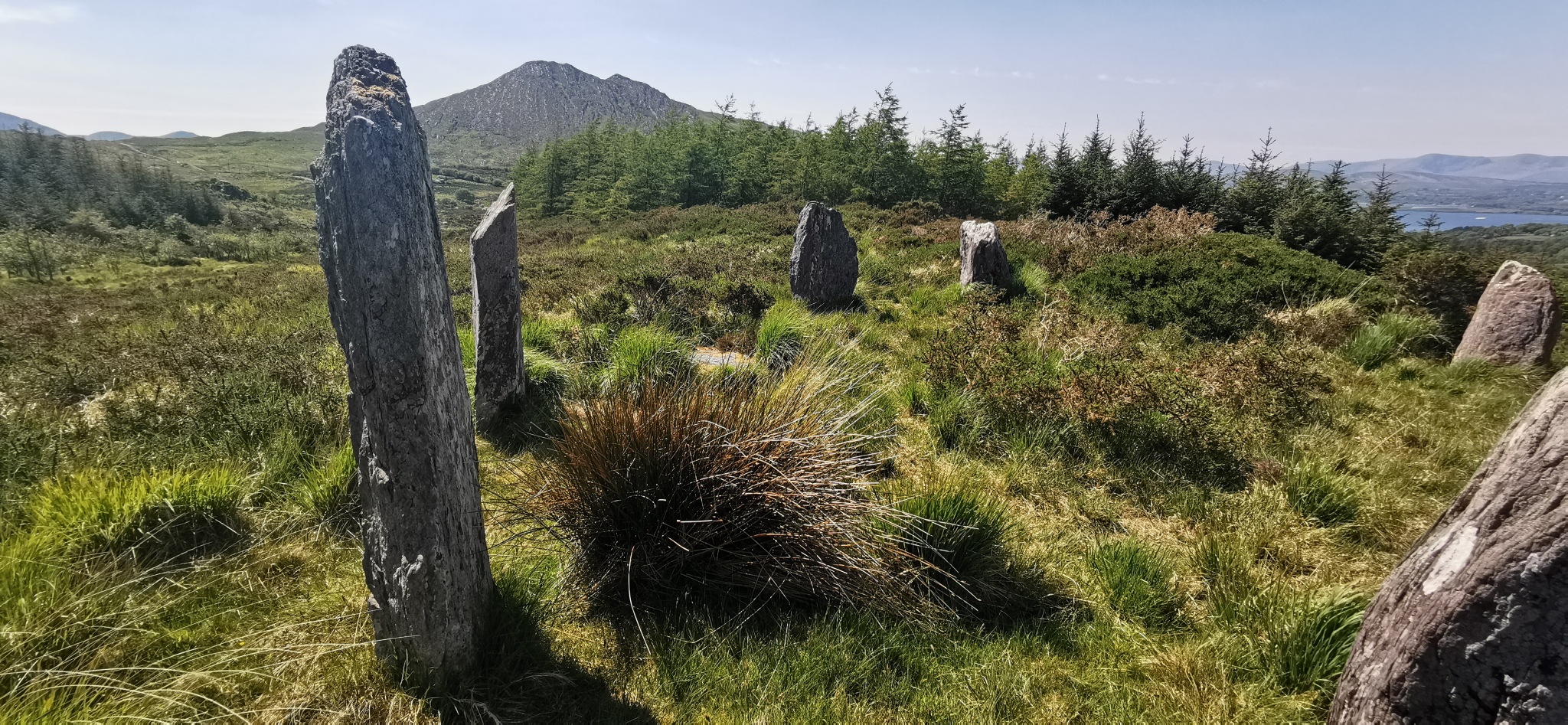 Drombohilly Stone Circle