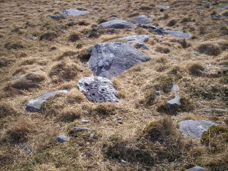 Derrynablaha There are at least four inscribed stones at this spot about 100m above the largest single stone.
Looking at how small they are it is possible that there are hundreds more beneath the turf and long grass.