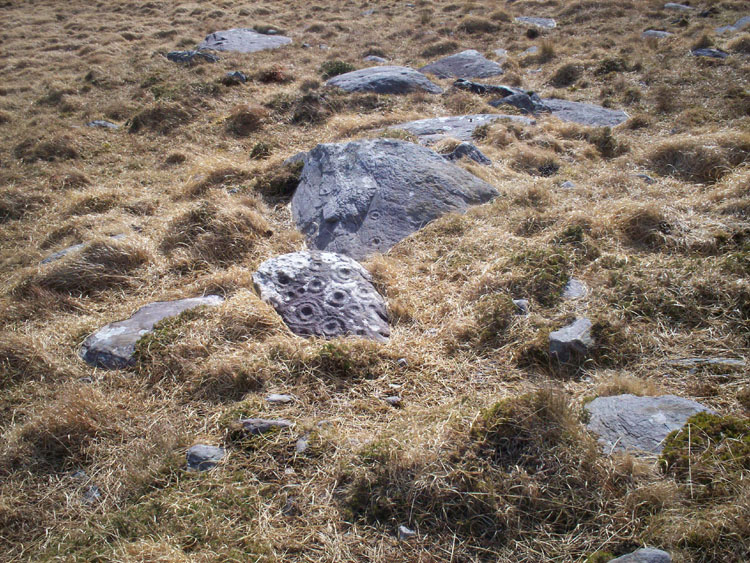 There are at least four inscribed stones at this spot about 100m above the largest single stone.
Looking at how small they are it is possible that there are hundreds more beneath the turf and long grass.
