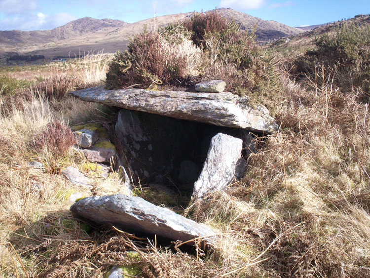 Click for the gallery page to add comments and vote (PID:54792) Drombohilly Wedge Tomb