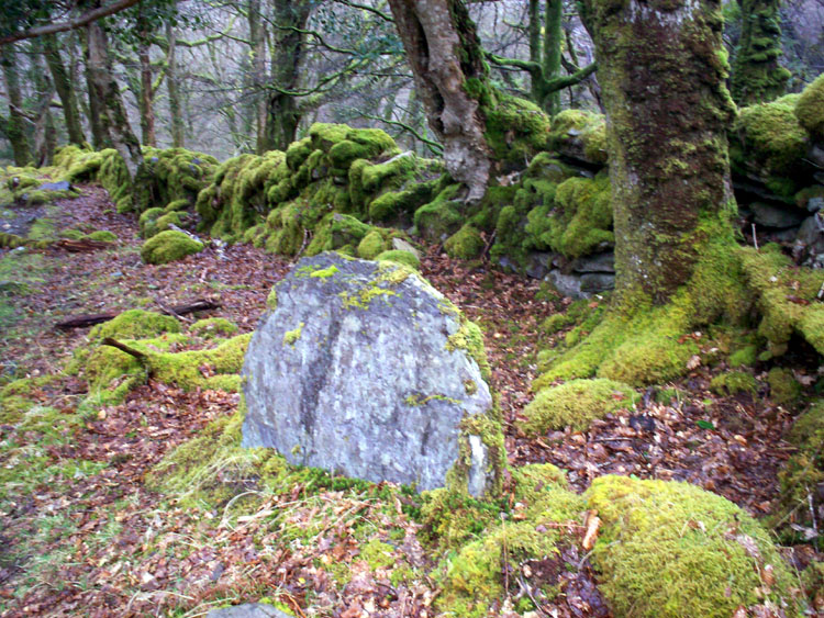 Click for the gallery page to add comments and vote (PID:55492) Esknamucky glen