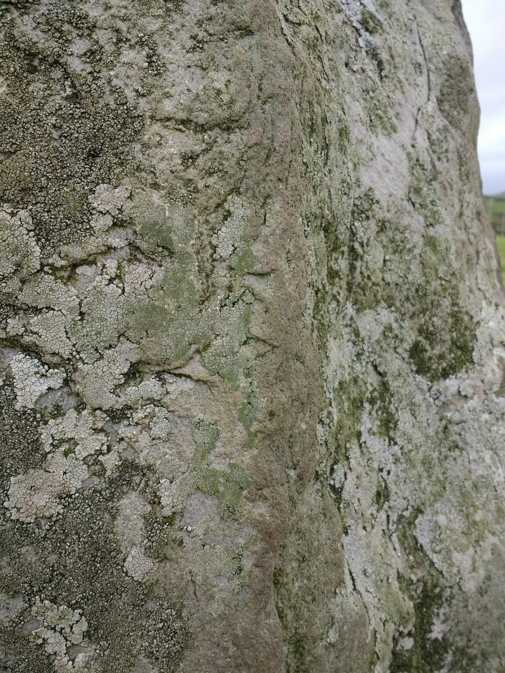 Click for full size image of Cool East ogham stone (PID:221589) Cool East ogham stone