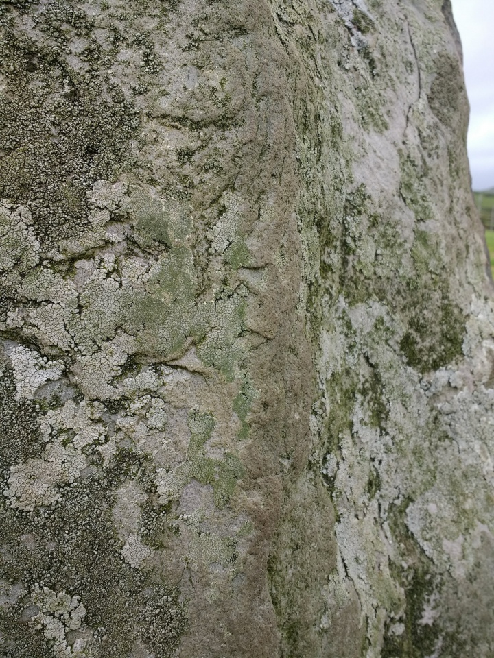 Cool East ogham stone