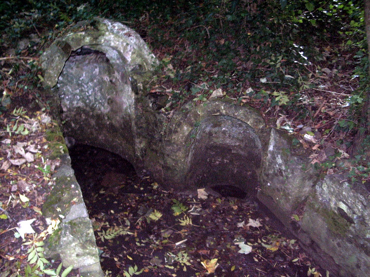 Click for full size image of Saint Catherine's Well (Leixlip) (PID:23590) Saint Catherine's Well (Leixlip)