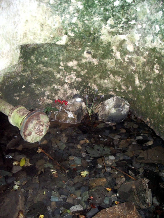 Click for full size image of Saint Catherine's Well (Leixlip) (PID:23592) Saint Catherine's Well (Leixlip)