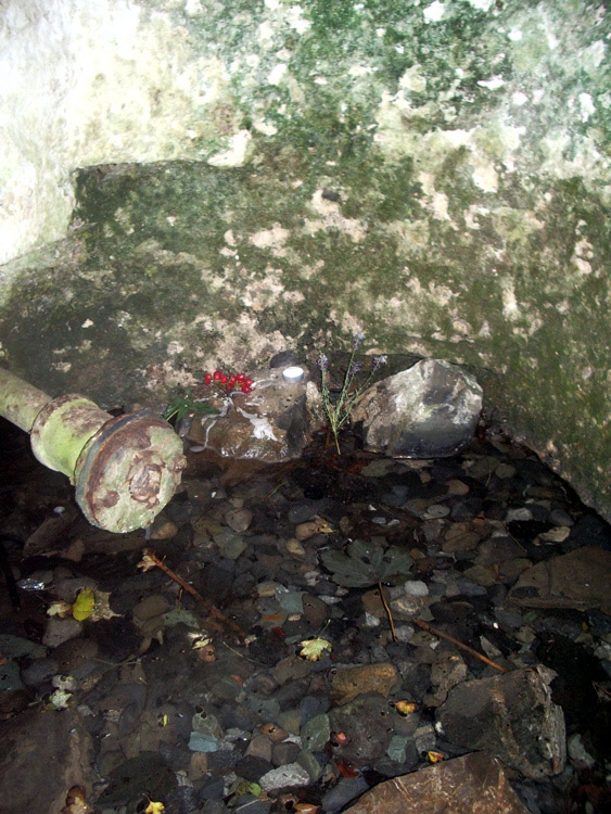 Saint Catherine's Well (Leixlip)