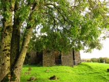 Clonenagh
