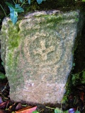 Clonenagh