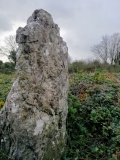 Skirk Henge - PID:311015