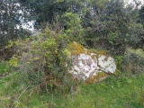 Gorteendarragh Wedge Tomb - PID:272836
