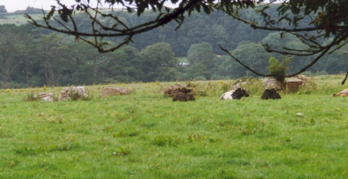 Click for the gallery page to add comments and vote (PID:10549) Lough Gur C