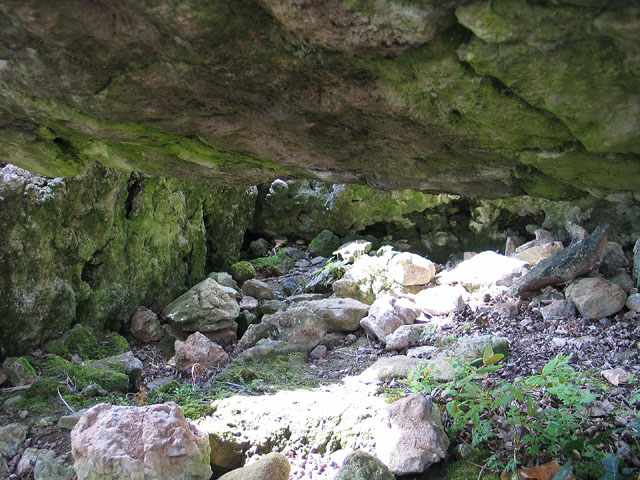 Click for the gallery page to add comments and vote (PID:41564) Lough Gur Wedge tomb