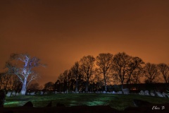 Grange (Co. Limerick)