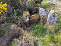 Ballygroll Prehistoric Complex - PID:305054 Ballygroll Prehistoric Complex - PID:305054