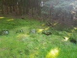 Ballyholly - PID:218822