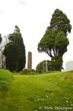 Camus Cross (Co. Derry)
