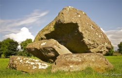 Grey Stone (Crevolea)