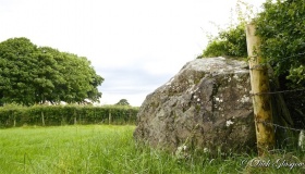 Grey Stone (Co. Derry)
