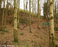 Mountsandel Fort