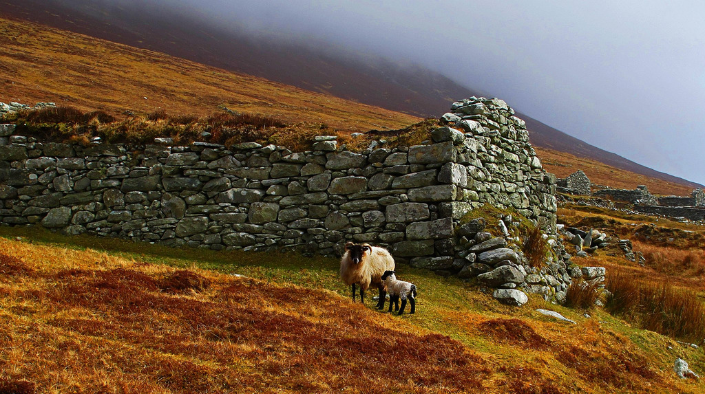 Click for the gallery page to add comments and vote (PID:111738) Stone Structures on Slievemore Mountain