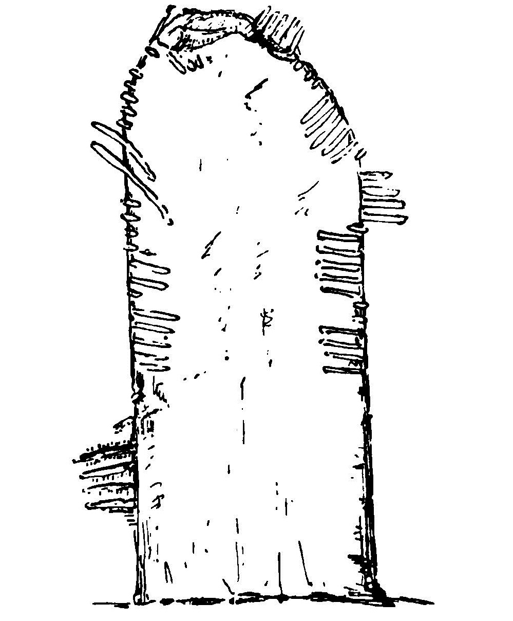 Click for full size image of Bracklaghboy (PID:96630) Bracklaghboy