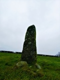 Ballyburly Standing Stone