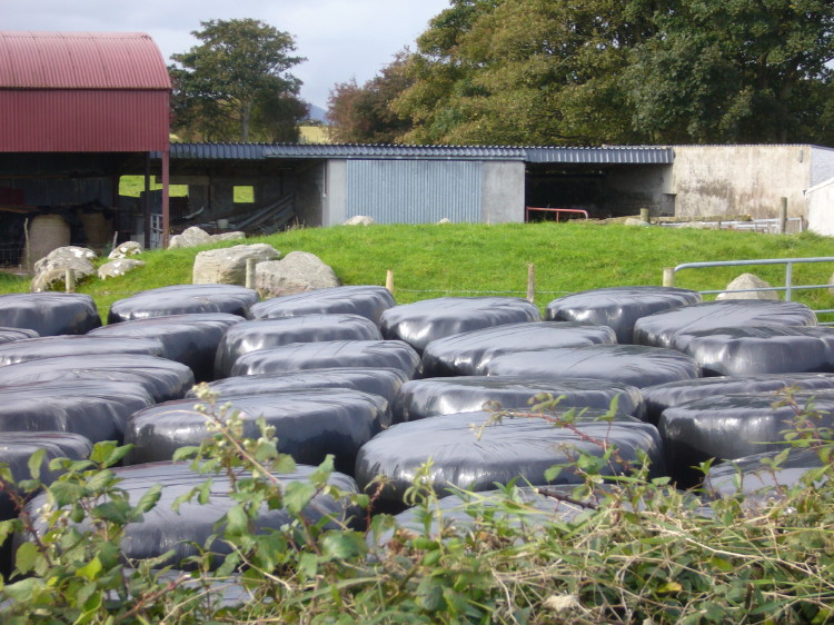 Carrowmore 18