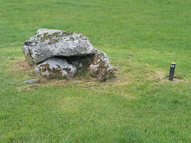Click for the gallery page to add comments and vote (PID:49281) Carrowmore 54