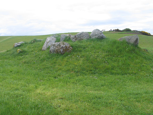 Click for the gallery page to add comments and vote (PID:49283) Carrowmore 52a