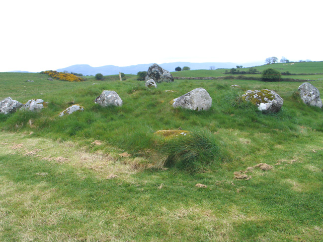 Click for the gallery page to add comments and vote (PID:49294) Carrowmore 48