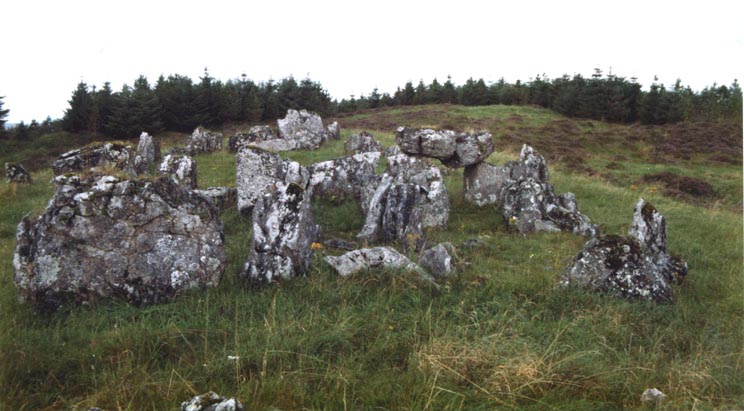 Click for the gallery page to add comments and vote (PID:65653) Magheraghanrush