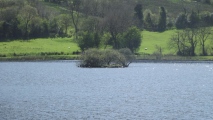 Glencar Upper Crannog - PID:273204