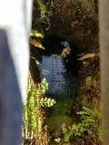 Carrowmore Well