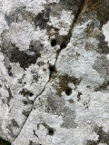 Creevykeel