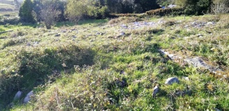 Baurnadomeeny Cairn and Cist