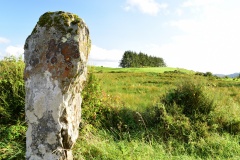 Baurnadomeeny Standing Stone