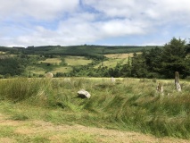 Bauraglanna