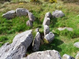 Duntryleague Passage Tomb - PID:47606