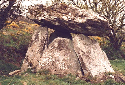 Click for the gallery page to add comments and vote (PID:1305) Gaulstown Portal Dolmen