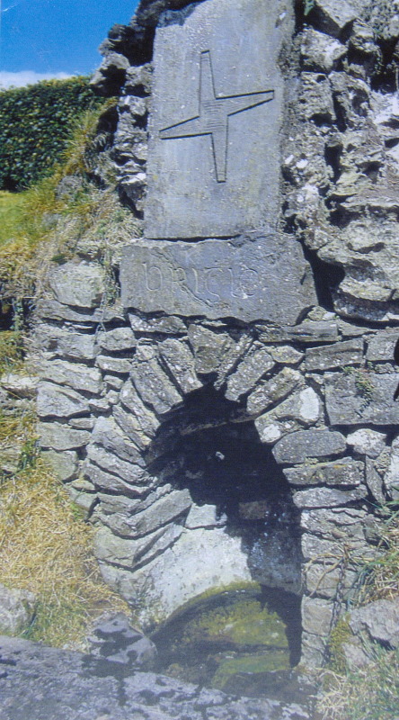 Frances and Arthur Parsons visited this well in 2013, and she gave me this photo recently.  This is a view of St Brigid's Well, Mullingar, according to Frances.  According to the 'megalithic ireland' website it IS just outside Mullingar.
(There was a drawing overlapping the right side of the photo that I edited out, so I cannot vouch for its originality.  Maybe they took it from a brochure?  Howe