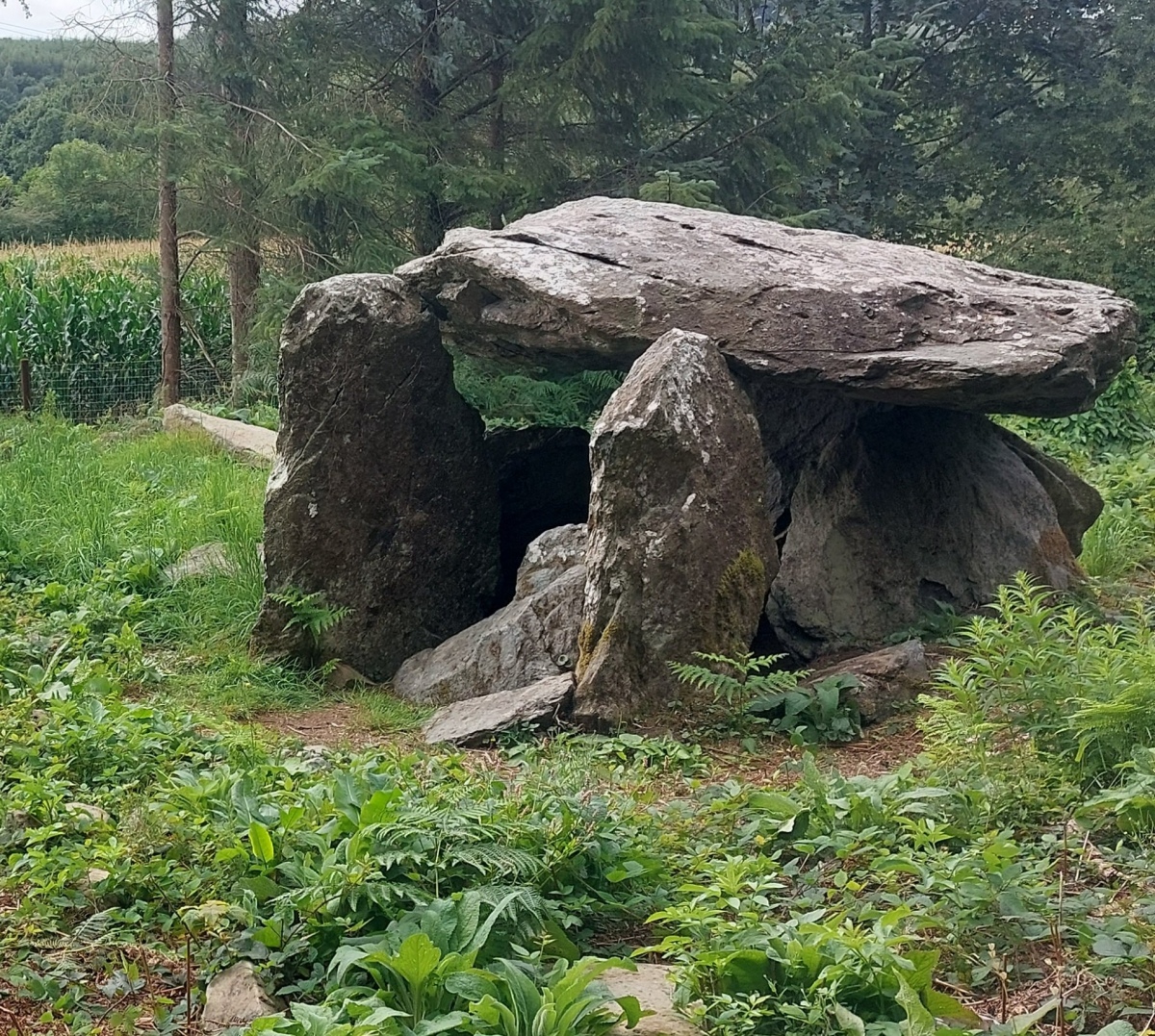 The Neolithic portal tomb at Ballybrittas, Wexford which is once more open to the public. Open all year round via a walking trail off Bree Hill  
Photo credit: Irish Archaeology @irarchaeology on Twitter 