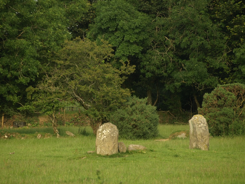 Click for the gallery page to add comments and vote (PID:200498) Giant's Grave (Co. Wicklow)
