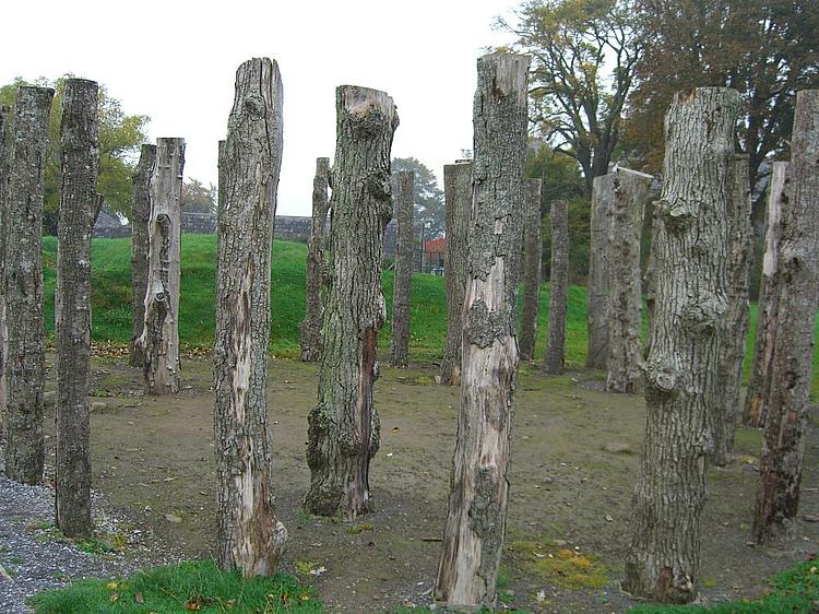 This is the Knowth Timber Circle. These poles were positioned where the remains of the original ones once stood. We captured this image on October 16th, 2005.