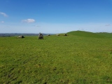 Loughcrew Cairn N-Stones - PID:272825